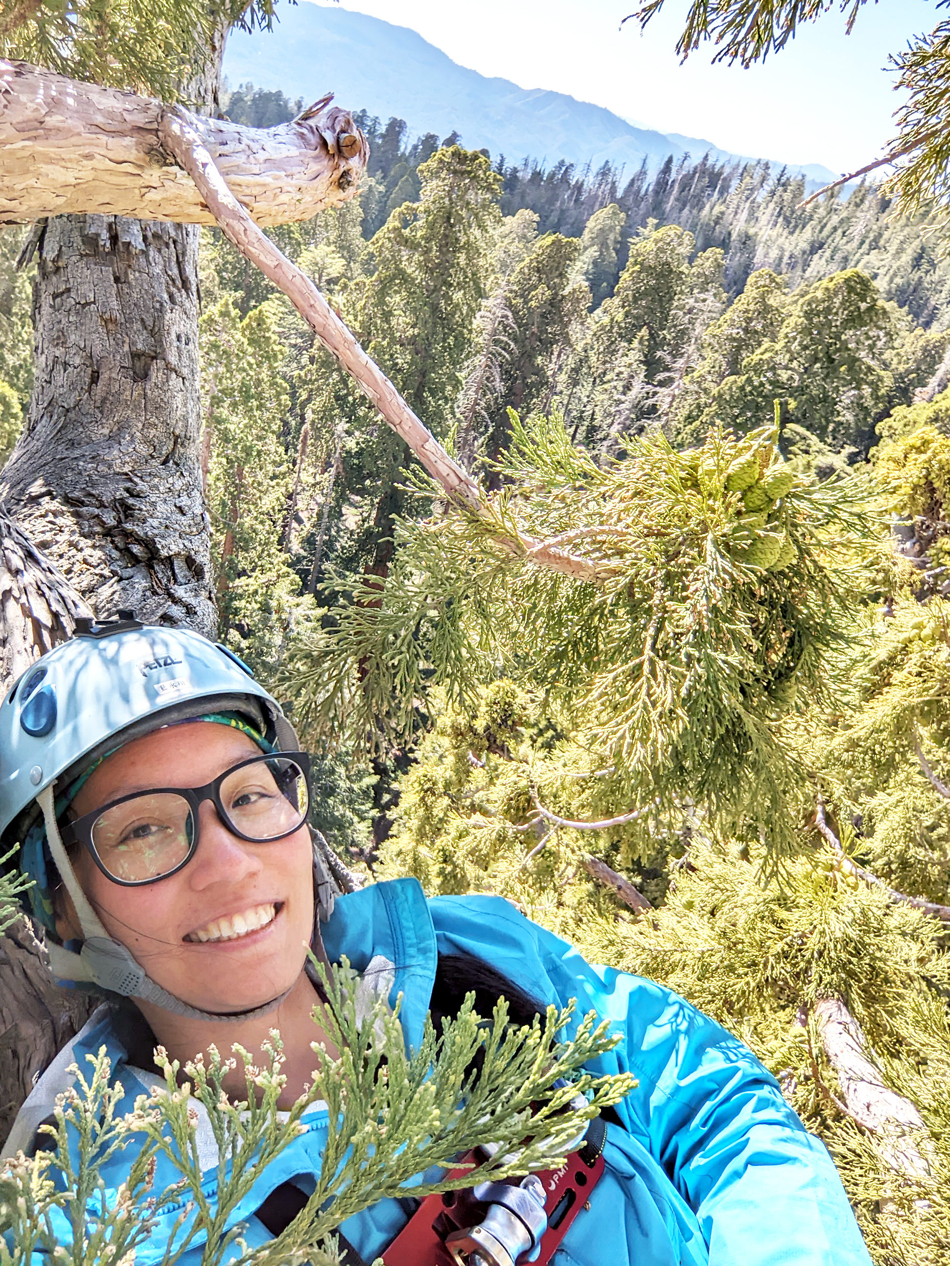 2025金典獎與蓓蕾獎得主｜藍永翔